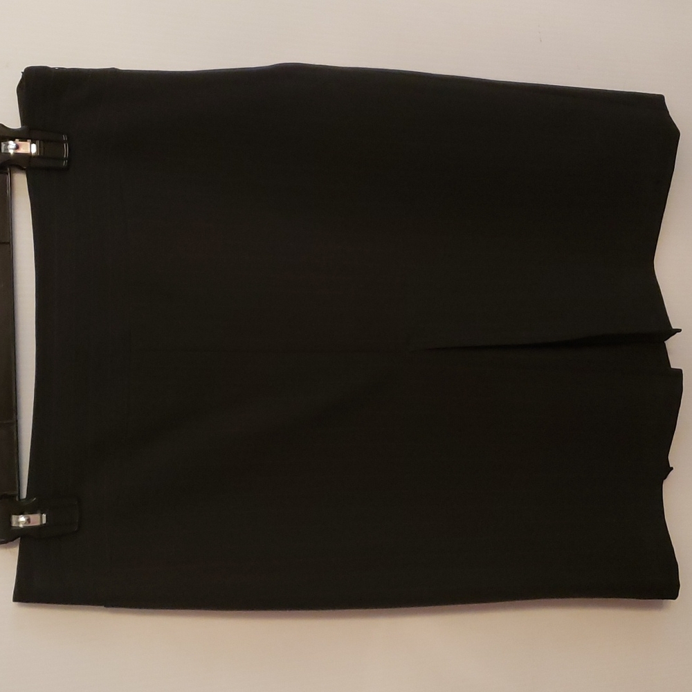 The Limited Dress Skirt